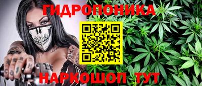 ешки Гатчина
