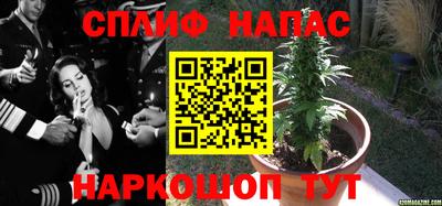 экстази Гай