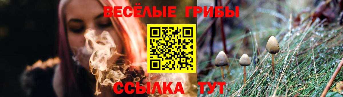 Псилоцибиновые грибы Psilocybine cubensis  Вход с VPN  Можга 